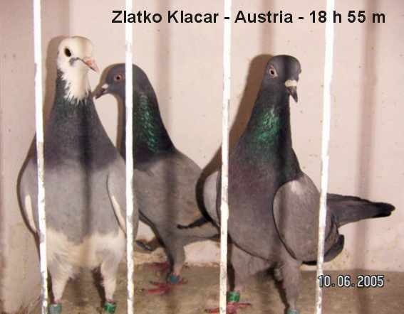 Zlatko Klacar