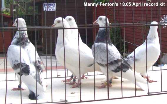 Manny Fenton